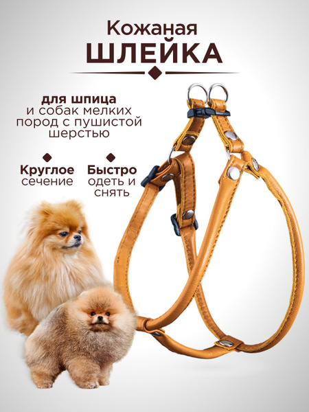 Шлейка для шпица круглая кожаная, шлейка для пушистых собак мелких ...