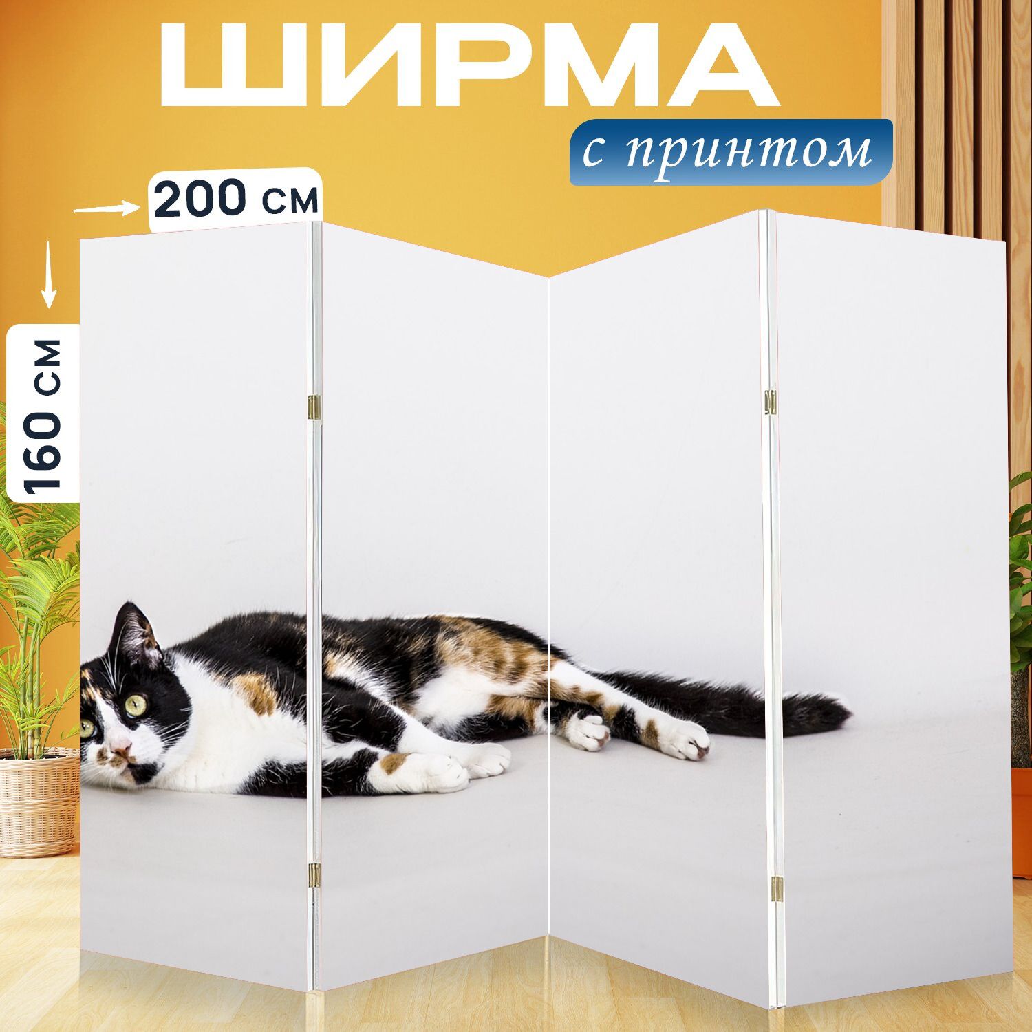 Эпилепсия у кошек