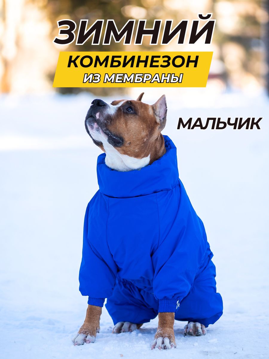 Комбинезон зимний для собак средних пород SNOW plus, 55+м (кобель), синий,  4XL+