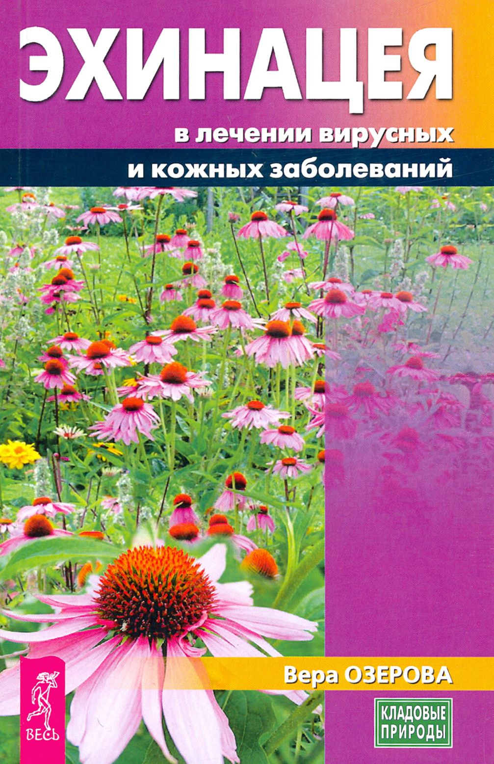 Эхинацея в лечении вирусных и кожных заболеваний | Озерова Вера Марковна