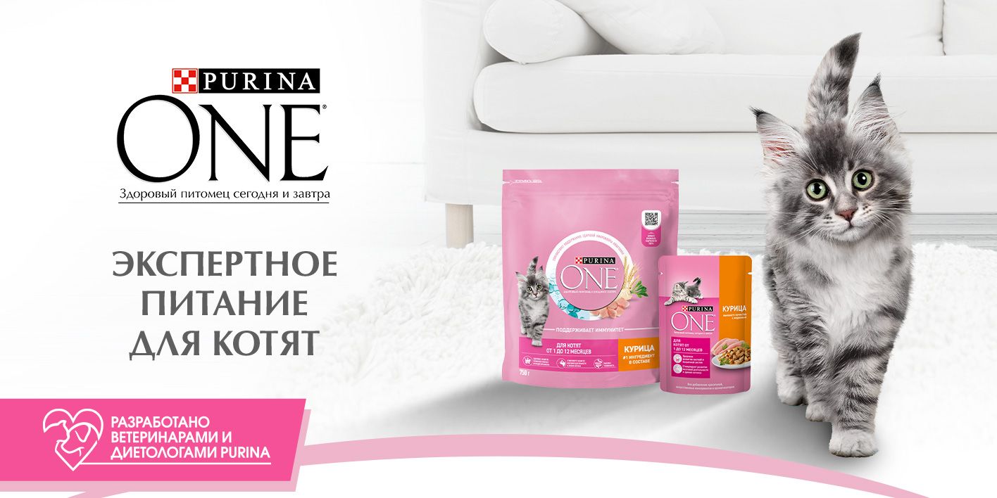 Влажный корм для котят Purina ONE, в соусе с курицей и морковью, 75 г(图1)