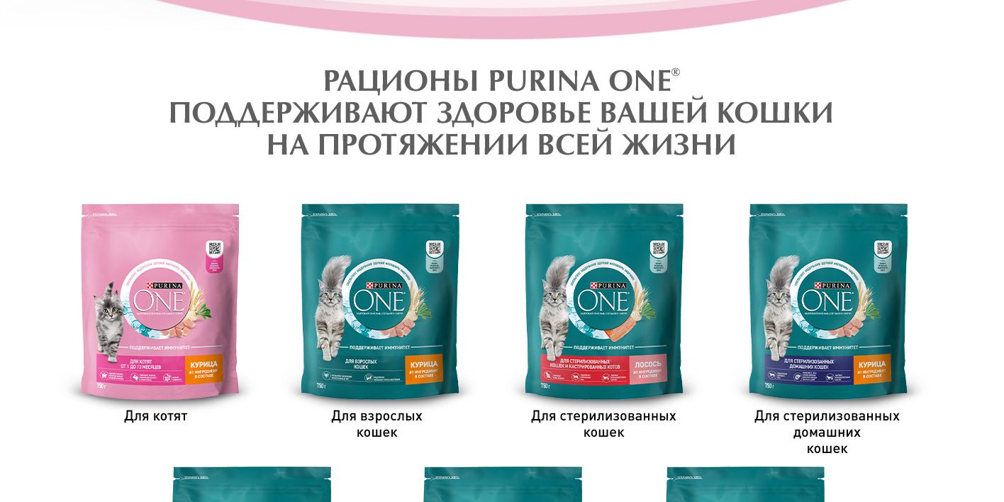 Влажный корм для котят Purina ONE, в соусе с курицей и морковью, 75 г(图5)