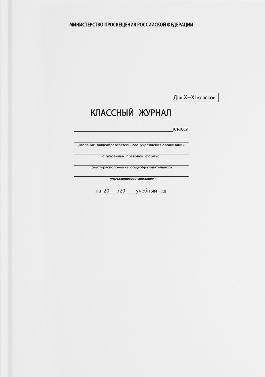 Классный журнал 10-11 классы (5193)