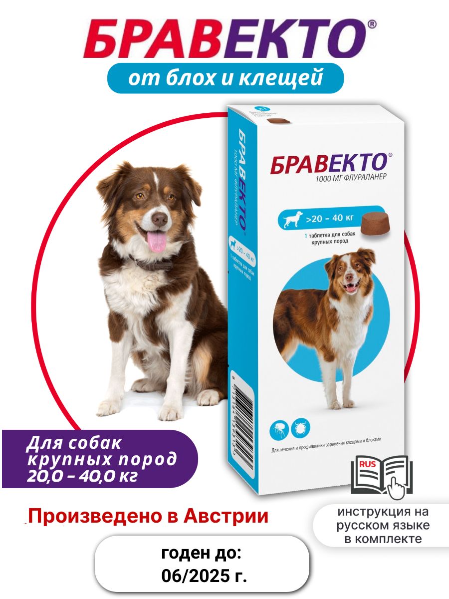 Бравекто Таблетки от блох и клещей для собак 20-40кг, 1000мг, 1 упаковка  (одна таблетка в упаковке) - купить с доставкой по выгодным ценам в  интернет-магазине OZON (1542281255)