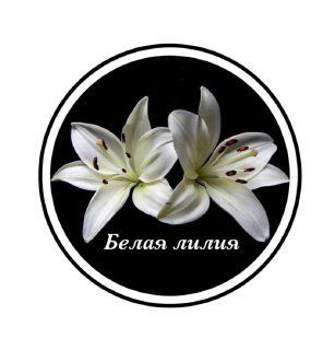 Белая лилия — купить товары Белая лилия в интернет-магазине OZON