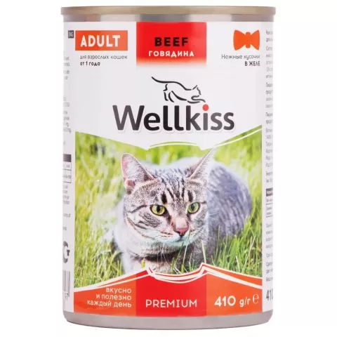 Корм Для Кошек Wellkiss Купить В Москве