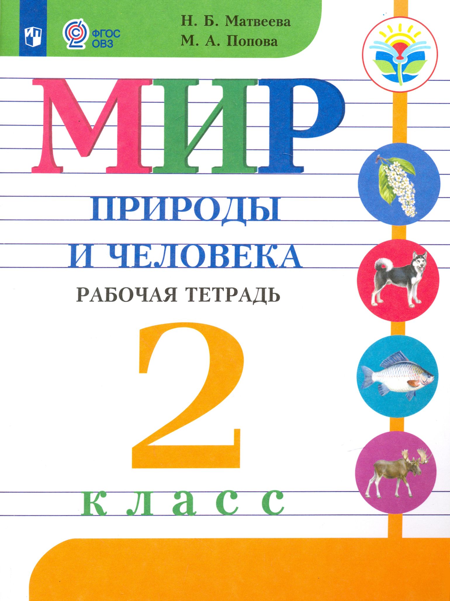 Мир природы и человека. 2 класс. Рабочая тетрадь. Адаптированные программы. ФГОС ОВЗ | Матвеева Наталия Борисовна, Попова Мария Анатольевна