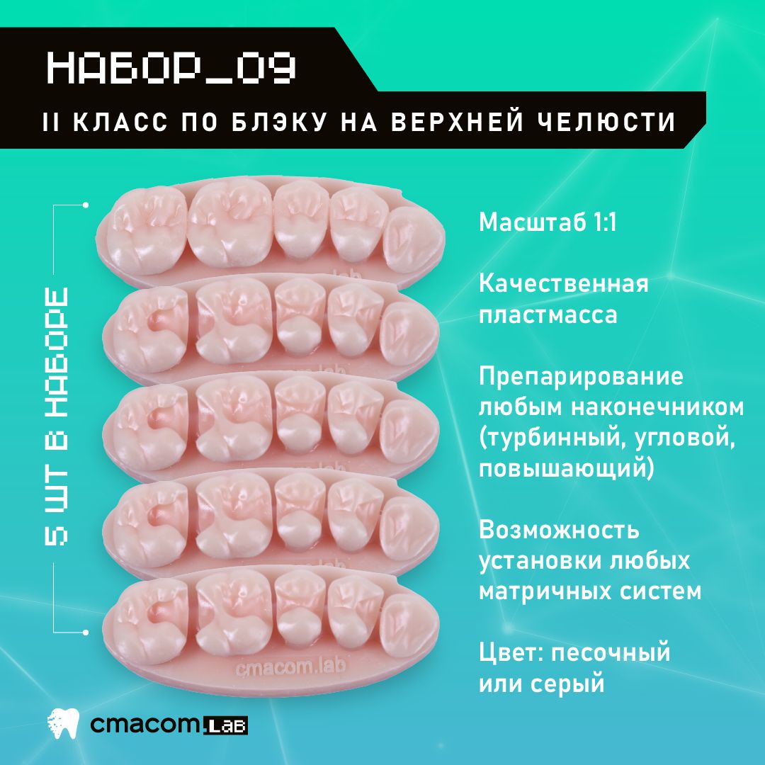 Набор#9 Модели для реставрации зубов/5 штук/16 зубов/ тренировочные модели для отработки мануальных навыков стоматологов