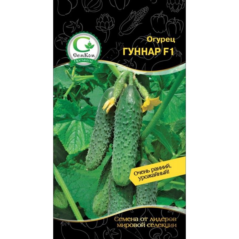 Гуннар огурец фото - DelaDom.ru