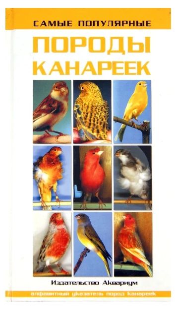 Породы канареек с фотографиями