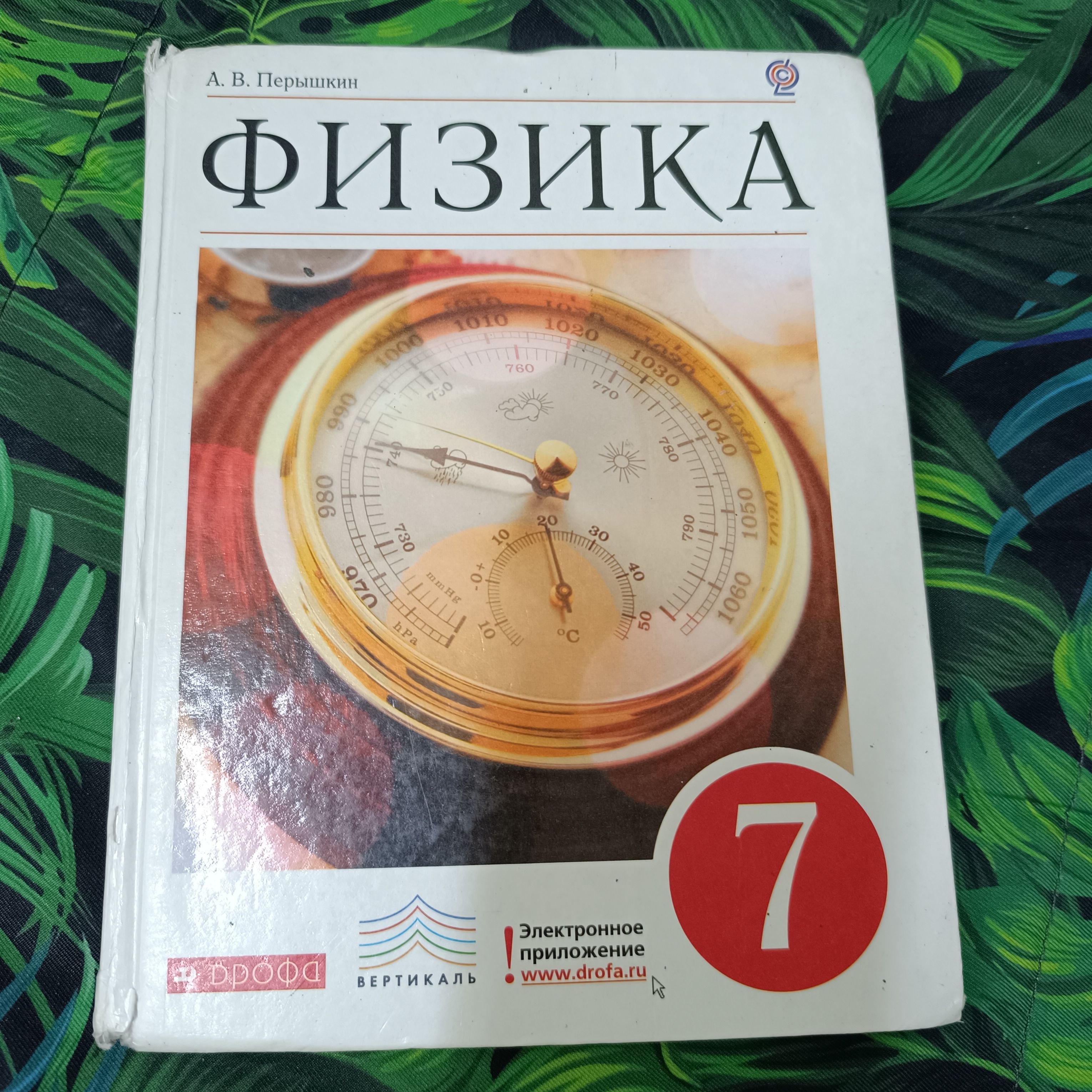 физика Перышкин 7 класс с 2013-2019 год Дрофа | Перышкин Александр  Васильевич - купить с доставкой по выгодным ценам в интернет-магазине OZON  (1531454609)