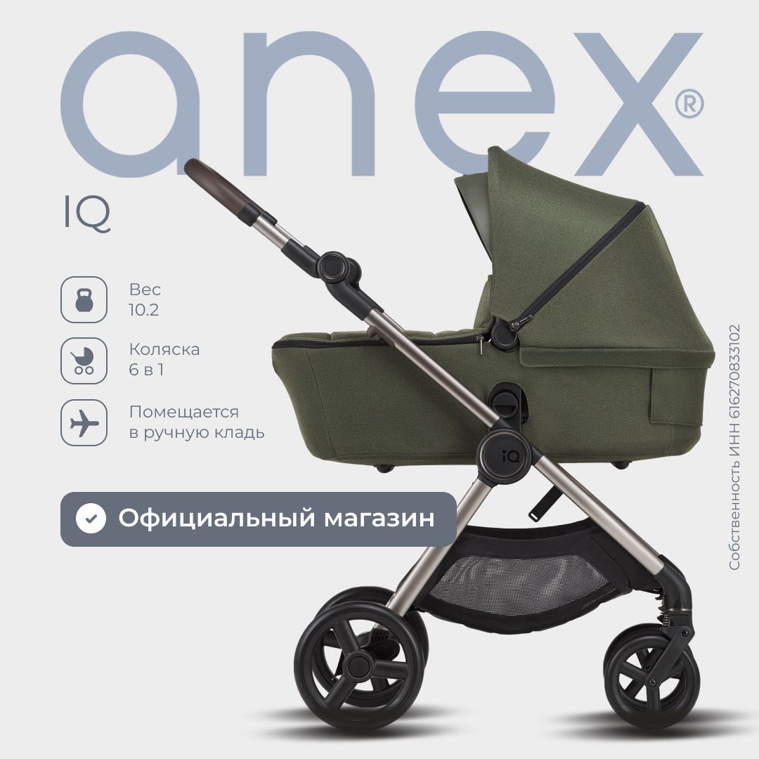 Коляска Anex IQ Premium Richi