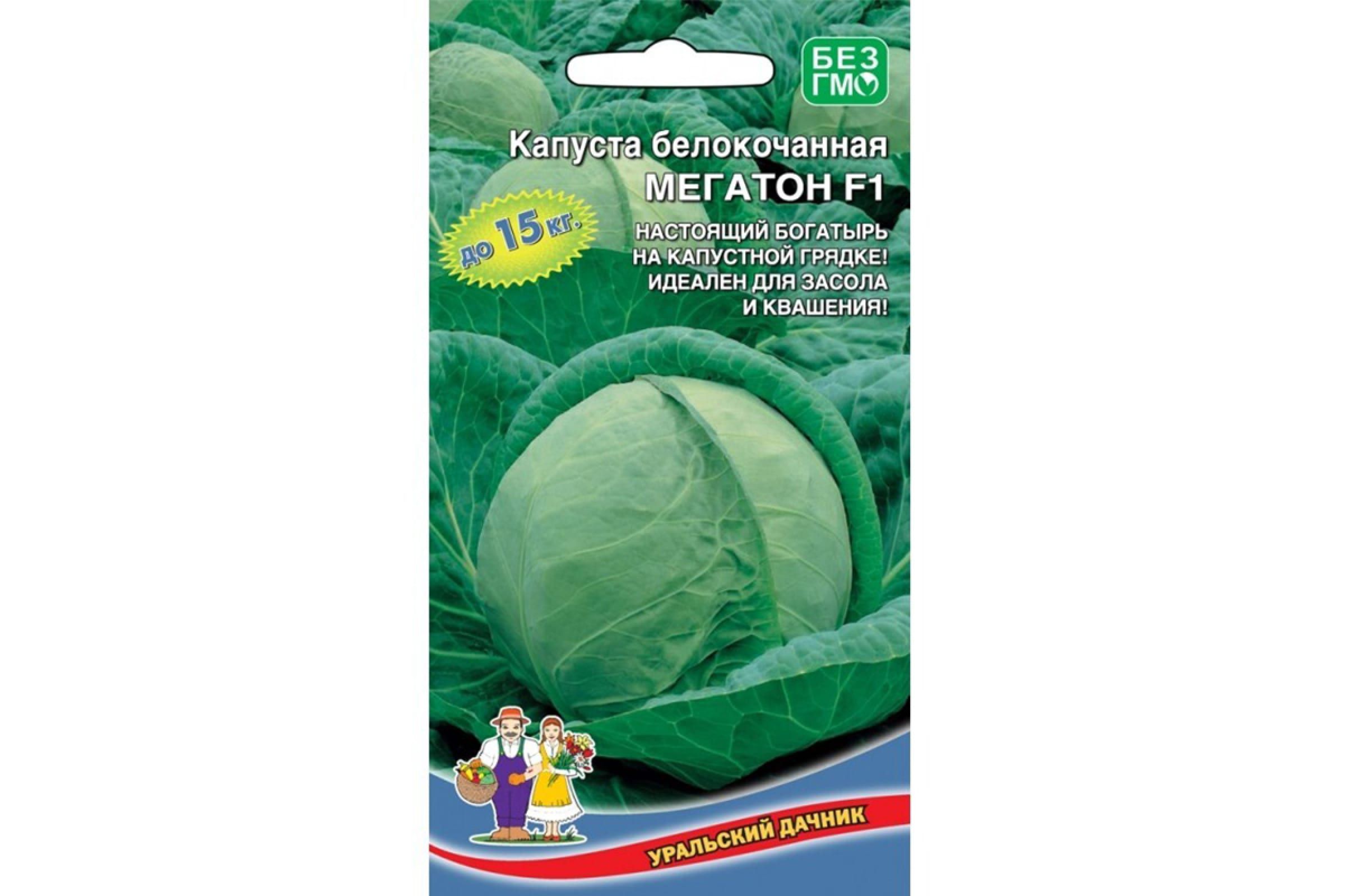 Купить Семена Капусты Мегатон Оптом