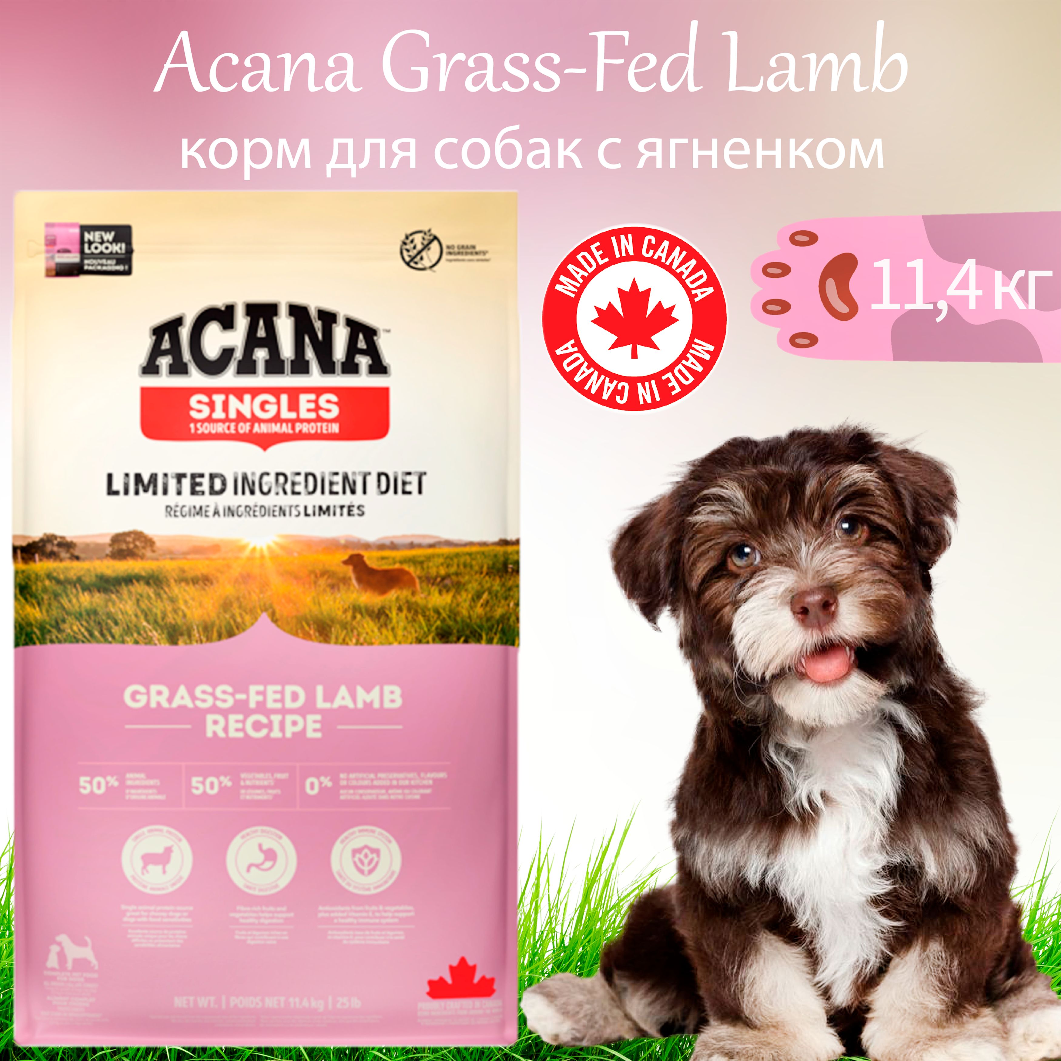 Acana Grass Fed Lamb 11 4 OZON 1552424891