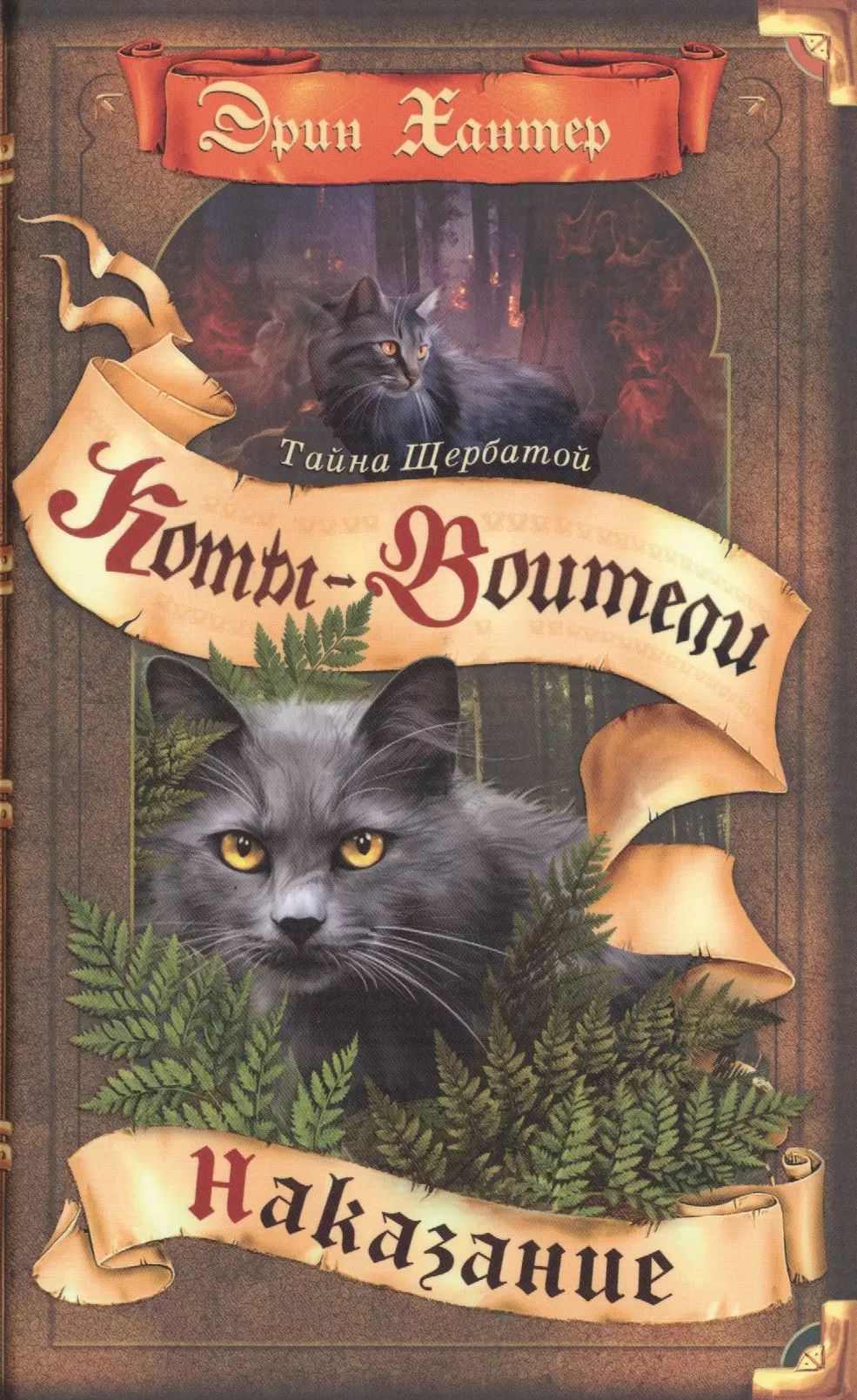 Абрис книги