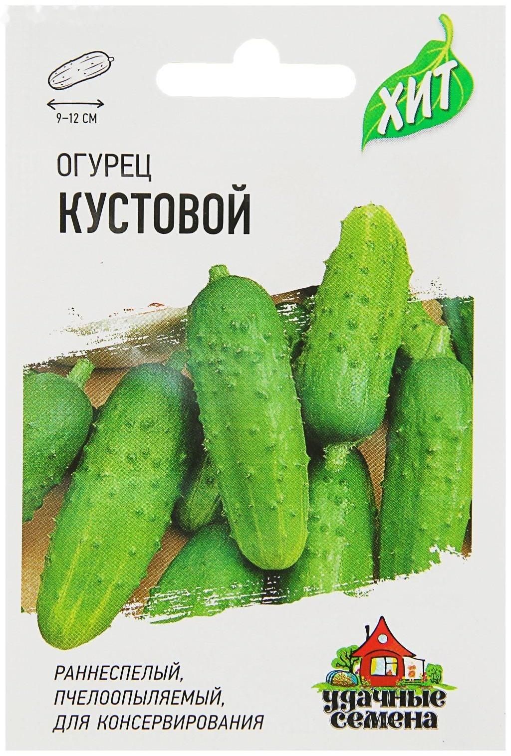 Купить Семена Огурцов Кустовой