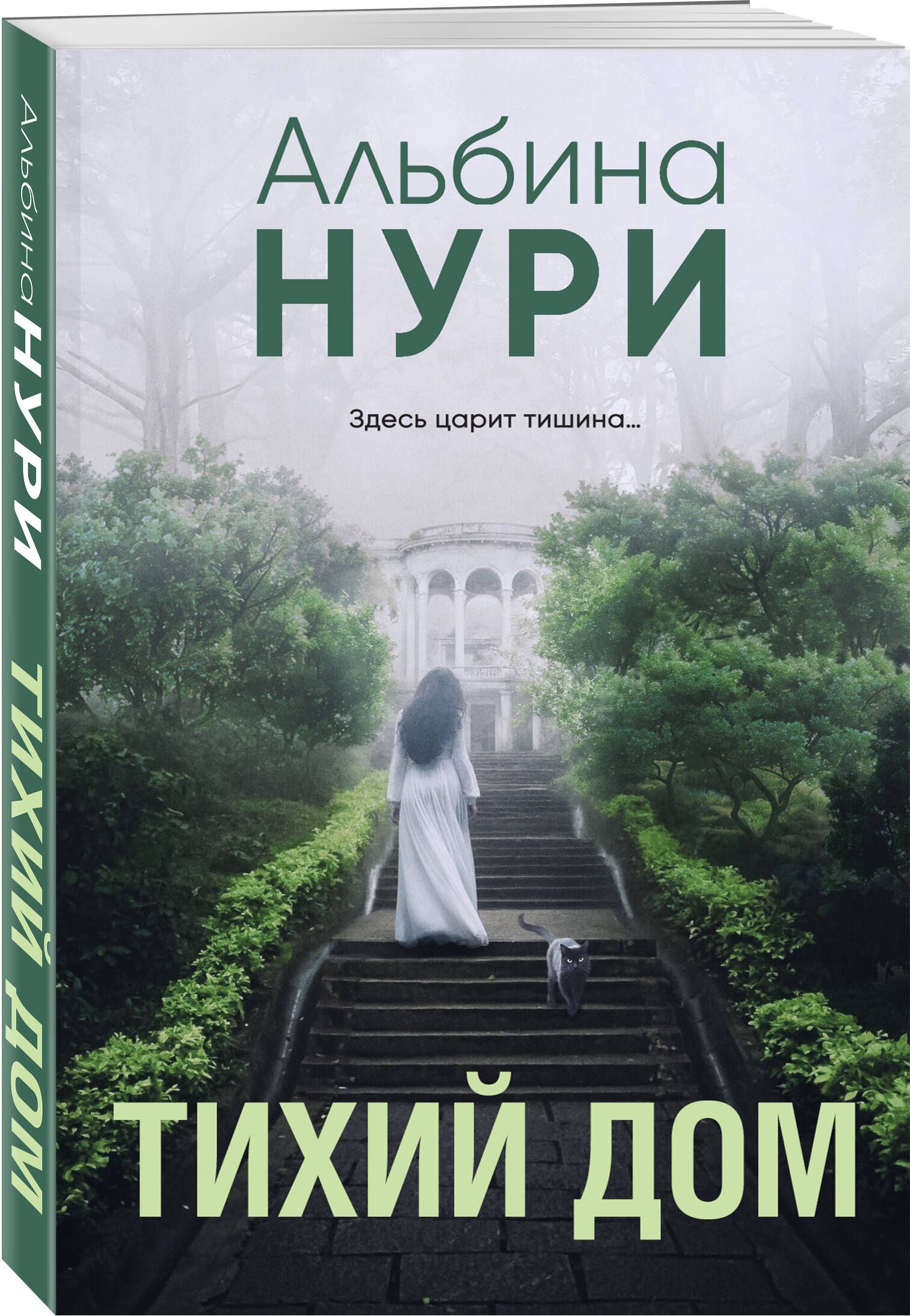 Тихий дом | Нури Альбина