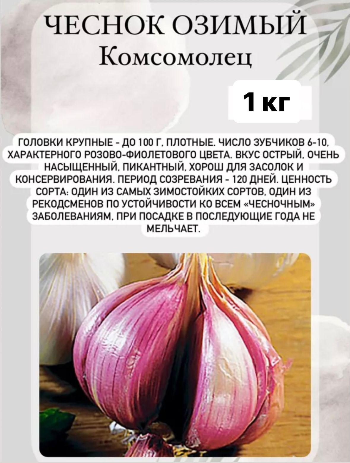 Чеснок Озимый на Посадку купить на OZON по низкой цене