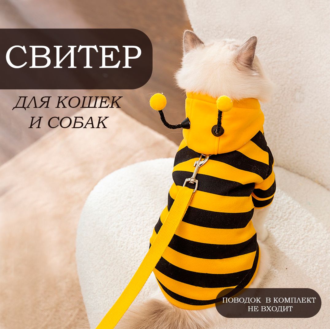 Костюмы Котов и Кошек