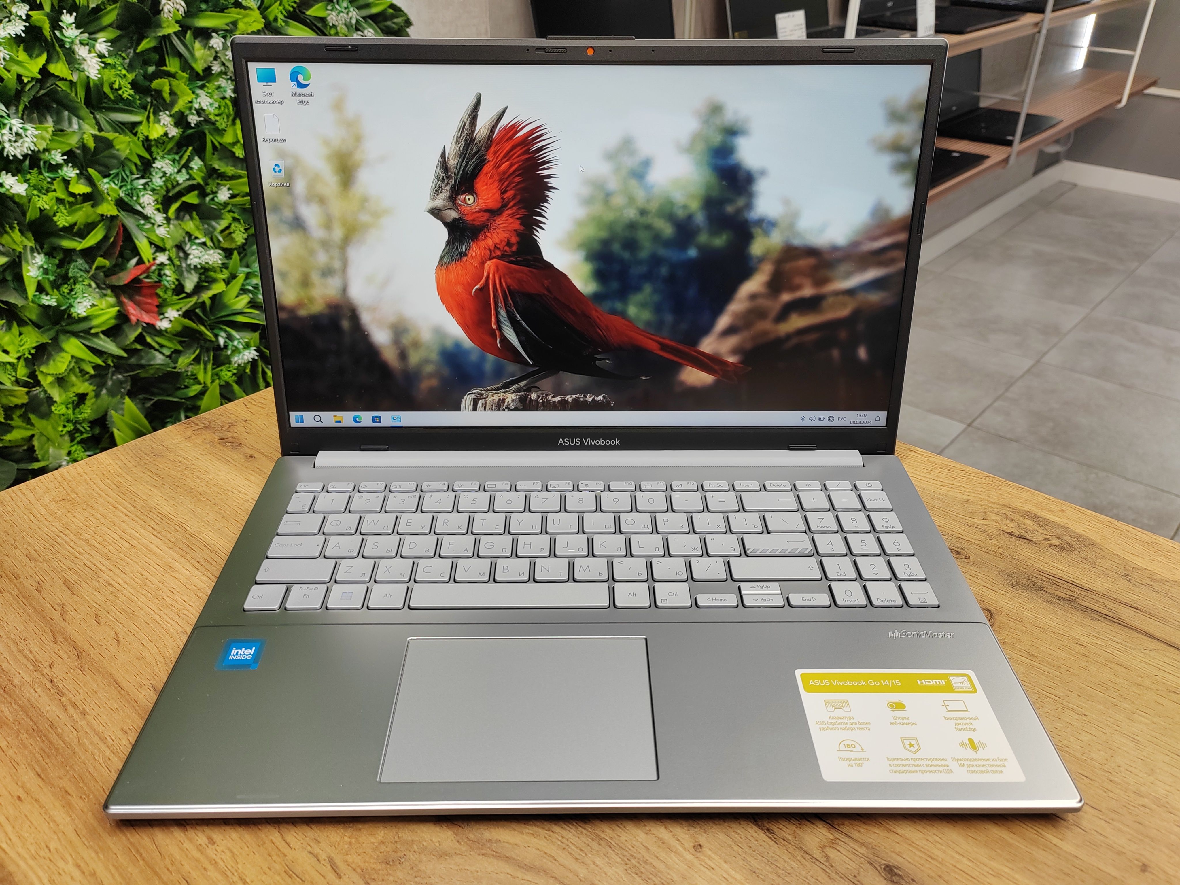 ASUSVivoBookGo15Ноутбук15.6",IntelN200,RAM8ГБ,SSD256ГБ,IntelUHDGraphics,WindowsPro,серебристый,Русскаяраскладка