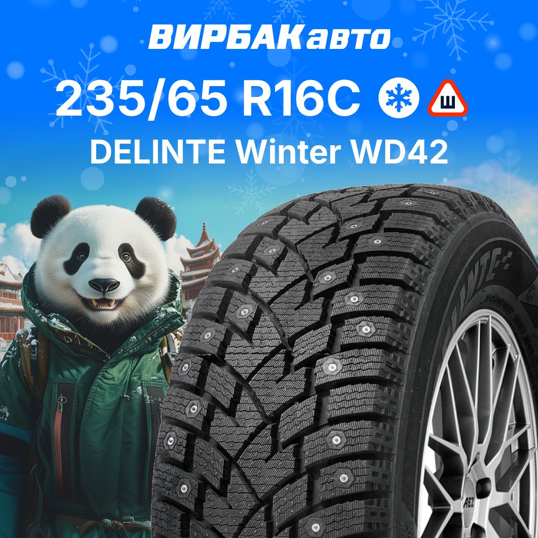 DelinteWinterWD42Шиныдлякоммерческоготранспорта235/65R16С119,121R