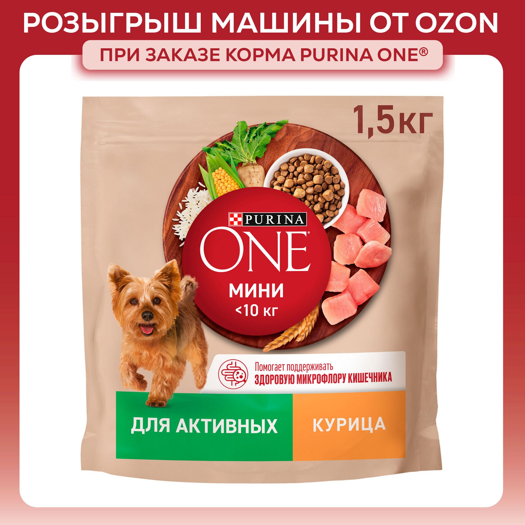 Сухой корм для собак Purina ONE МИНИ для мелких и карликовых пород при активном образе жизни, с курицей и рисом, 1,5 кг