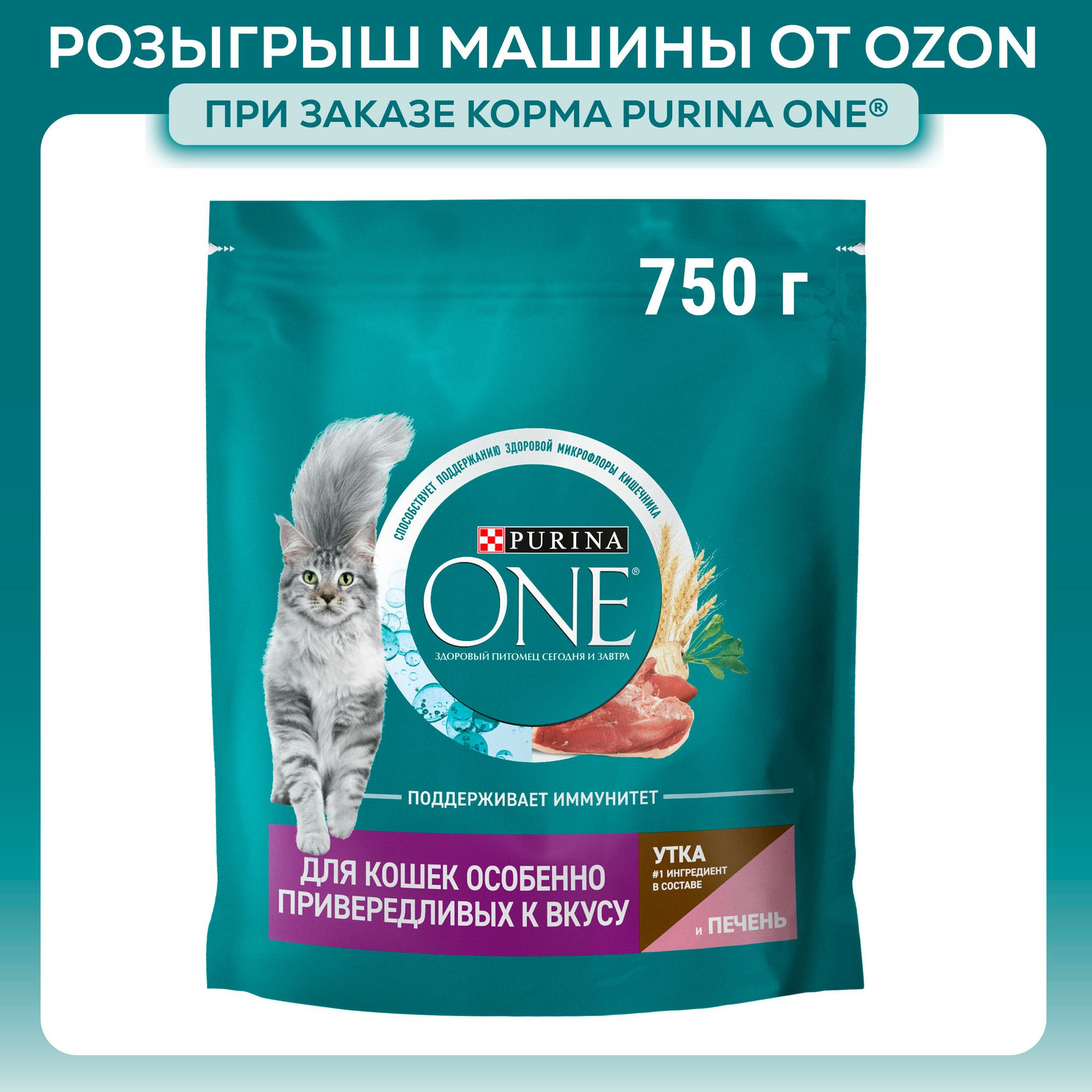 Корм сухой для кошек Purina ONE для особенно привередливых к вкусу, с уткой и печенью, 750 г