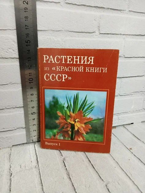 Канцелярия антикварная/винтажная набор из 25 открыток Растения из Красной книги СССР