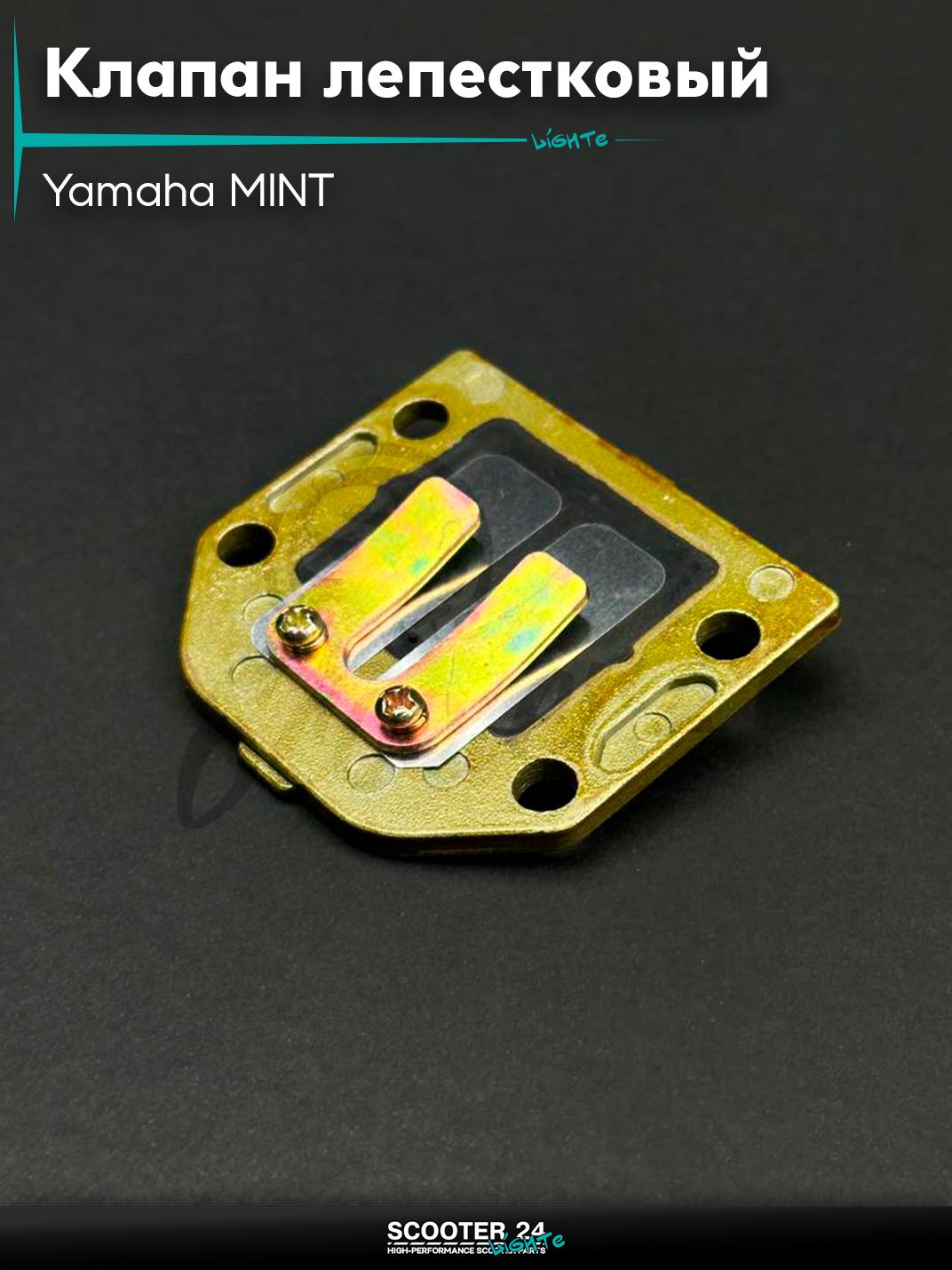 Клапан лепестковый на скутер Yamaha MINT / Ямаха Минт "LIPAI"