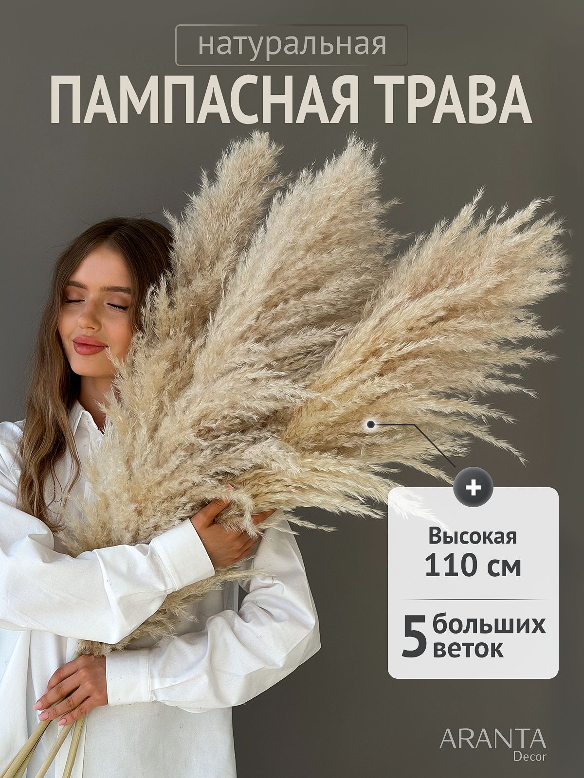 СухоцветыдлядекораиинтерьераПампаснаятрававысокая