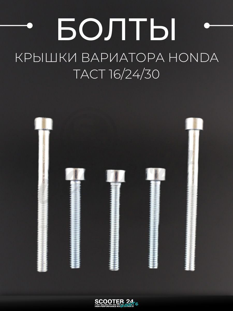 Болты крышки вариатора на мотоцикл и скутер Honda TACT 16 / 24 / 30 / Хонда Такт Джорно (шестигранный шлиц, 5шт) AS "BEEZMOTO"
