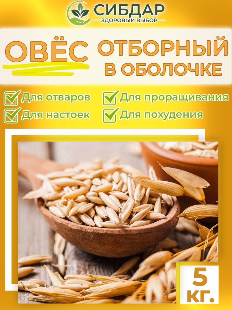 Овес для заваривания и проращивания лечебный неочищенный 5кг - купить с ...