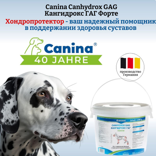 2008 отзывов на Хондропротектор для собак/кошек Canina Canhydrox GAG ...