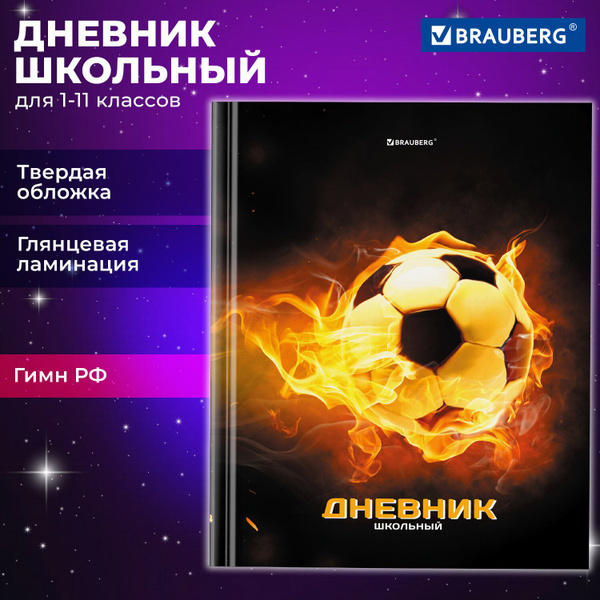Дневник школьный для 1-11 классов для мальчика 40 листов, твердый ...