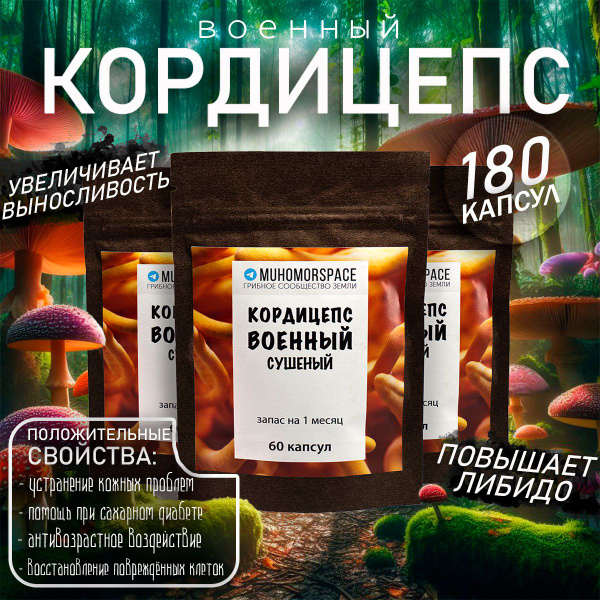 Кордицепс военный, Cordyceps militaris в капсулах запас на 3 месяца 180 ...