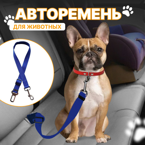 Ремень безопасности для собак и кошек - купить с доставкой по выгодным ...