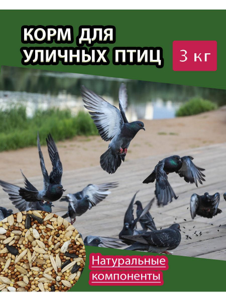 корм для уличных птиц - купить с доставкой по выгодным ценам в интернет ...