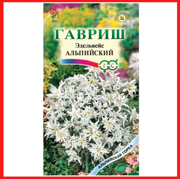 Эдельвейс Гавриш Эдельвейс альпийский "Занзи" - купить по выгодным ...