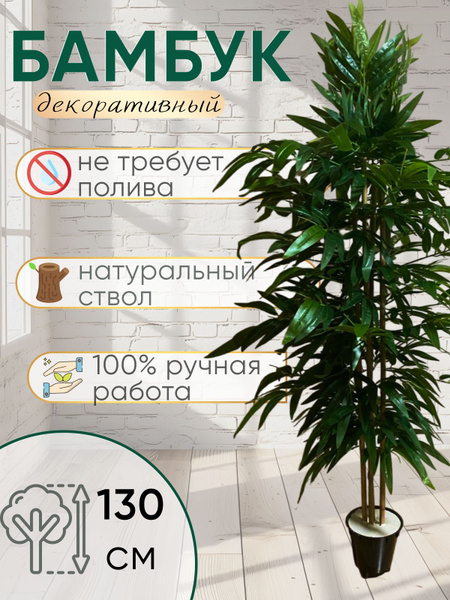 Купить Бамбук по выгодной цене в интернет-магазине OZON.ru (1446355073)