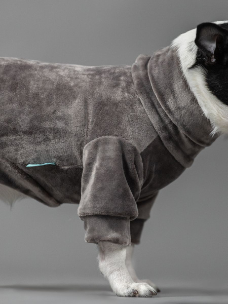 Одежда для собак - комбинезон для собак мелких и средних пород купить ...