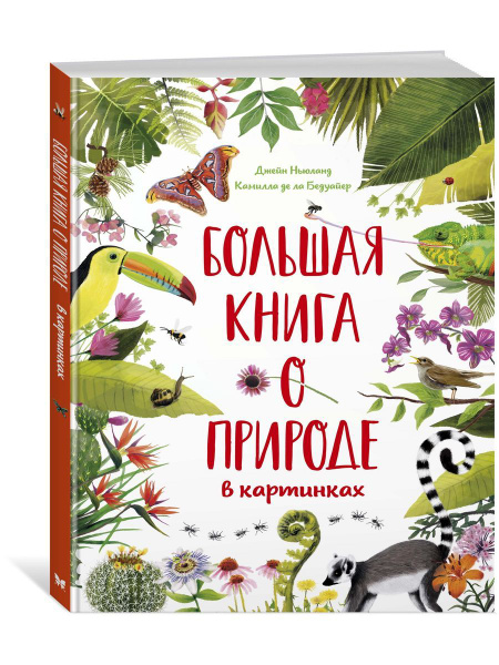 Большая книга о природе в картинках - купить с доставкой по выгодным ...