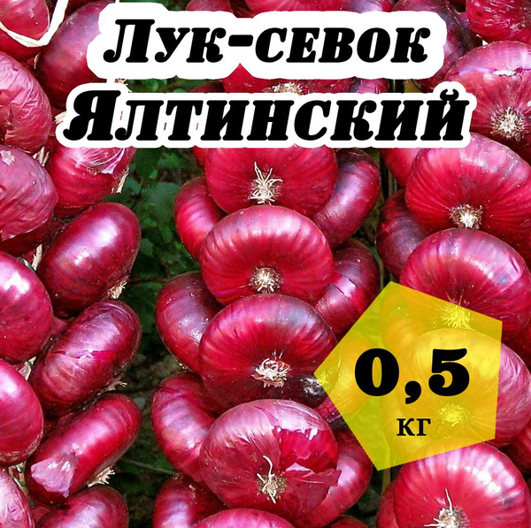 Луковицы Лук севок, Лук купить по выгодной цене в интернет-магазине ...