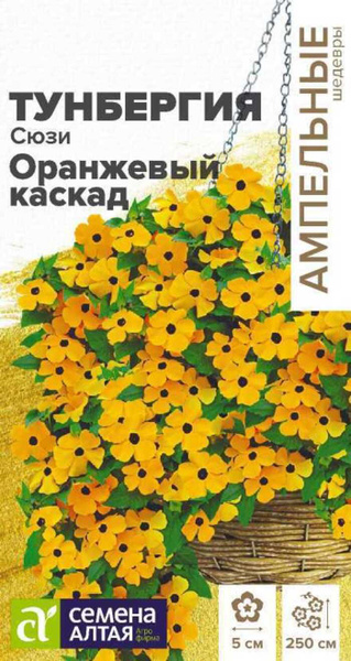 Тунбергия Семена Алтая Тунбергия - купить по выгодным ценам в интернет ...