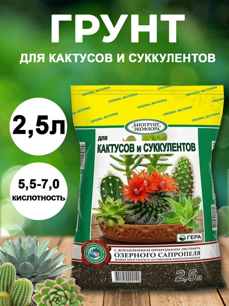 Грунт для кактусов и суккулентов 2,5л - купить по низкой цене в ...