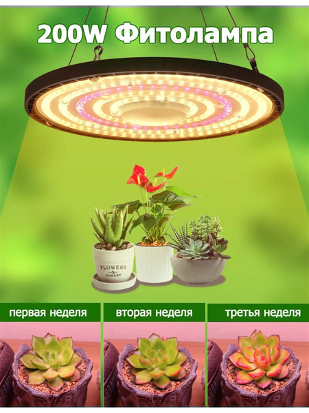200 Вт Фитолампа для растений полного спектра - купить с доставкой по ...