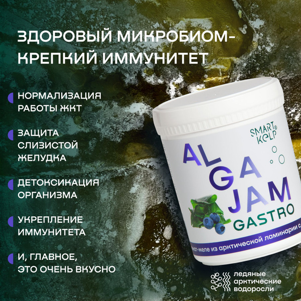 Альгинат-желе из ламинарии с черникой ALGAJAM (АЛЬГАДЖЕМ), 500 г ...