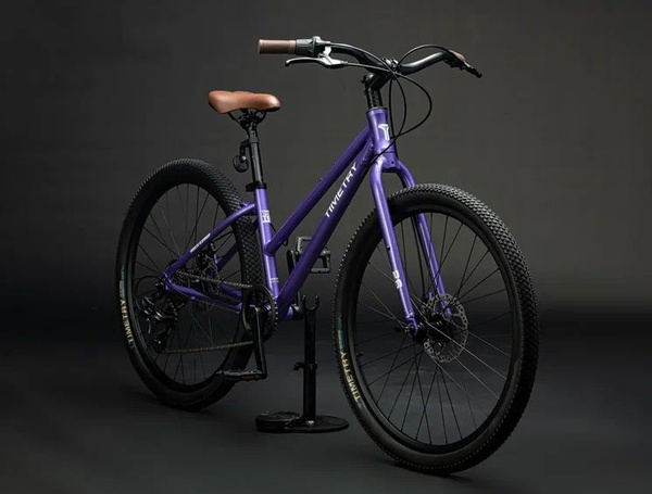 Велосипед фиолетовый TT 268 TIMETRY, 7 скоростей, 24 д. - купить по ...