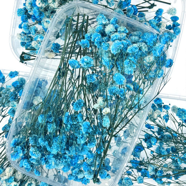 Сухоцветы EPOXYMASTER Гипсофила, 1 шт купить по выгодной цене в ...