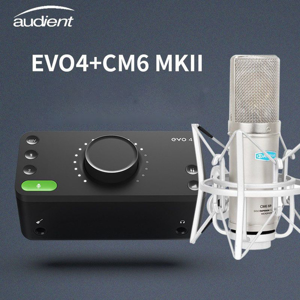Студийная звуковая карта AUDIENT купить по выгодной цене в интернет ...