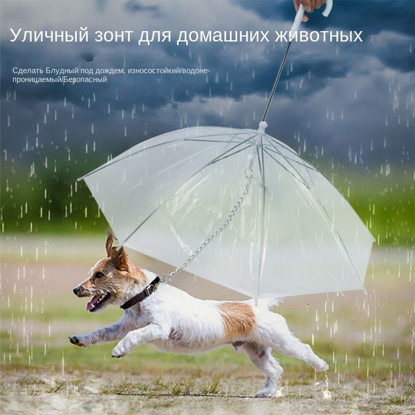 Зонтик для собак - купить с доставкой по выгодным ценам в интернет ...
